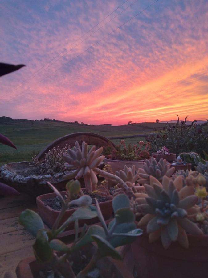 Agriturismo Enjoy Sunset Чиниджиано Экстерьер фото